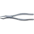 Stainless Steel Extraction Forceps, , #65