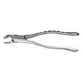 Extracting Forceps 1st And 2nd Molars  (F217)