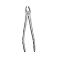 Extracting Forceps Upper Canines And Premolars  (F35XS)