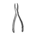 Extracting Forceps Standard Upper Incisors And Canines Pedo  (F1S)