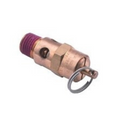 Relief Valve, 125 PSI