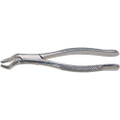 Stainless Steel Extraction Forceps, Straight Handle, #53L