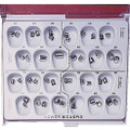 Lower Bicuspid Stainless Steel, Left Lower Second, B25, 3/Pkg