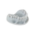 Keystone, Keyorthomodel 1Kg, 4220003