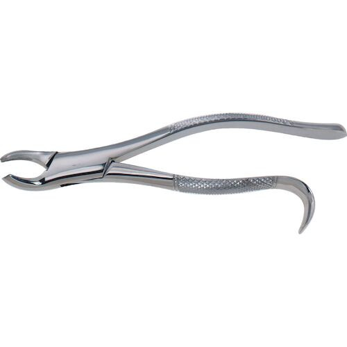 Stainless Steel Extraction Forceps #18L