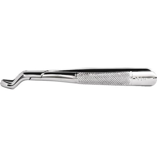 Stainless Steel Extraction Forceps #53R