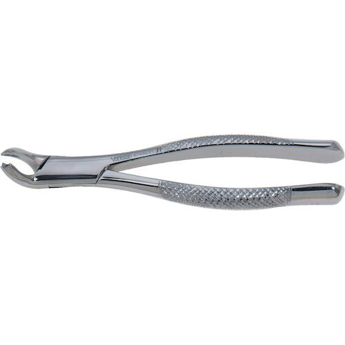 Stainless Steel Extraction Forceps #17