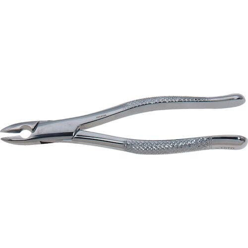 Stainless Steel Extraction Forceps, Straight Handle, #1