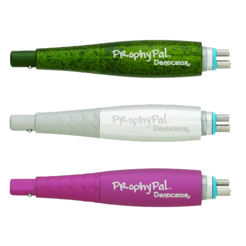 Young, Classic Silver ProphyPal Pack of 3, 750003