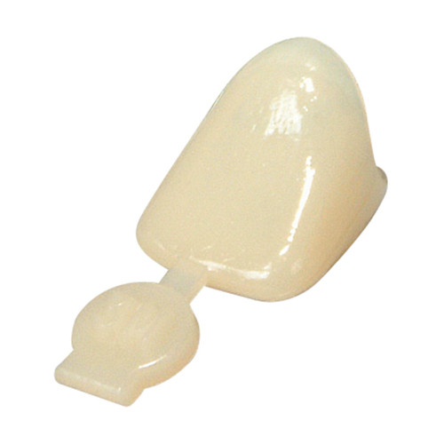 House Brand #50 2nd Bicuspid Polycarbonate Crown Form, Box of 5 Crown Forms