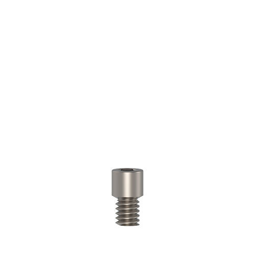 Anti-Rotation Anatomic Titanium/Plastic Abutments Screw, 3.8 mm