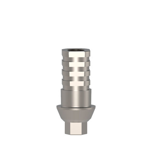 Screw Retained Temporary Abutments Temporary Abutment with Hex, 10 mm