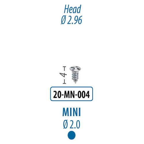 Screws and Tacks 2.0 mm x 4 mm, Mini Screw
