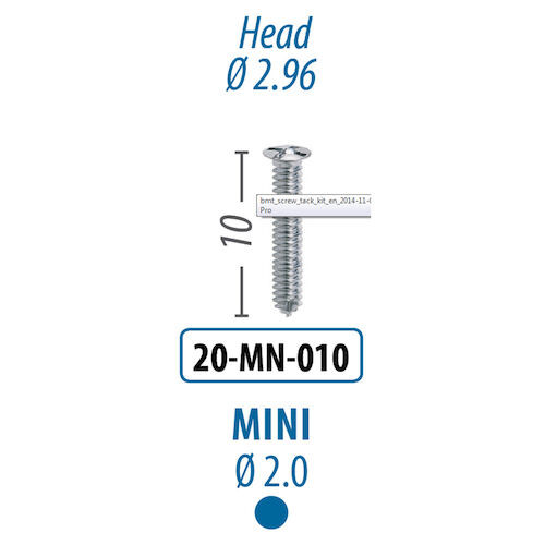 Screws and Tacks 2.0 mm x 10 mm, Mini Screw