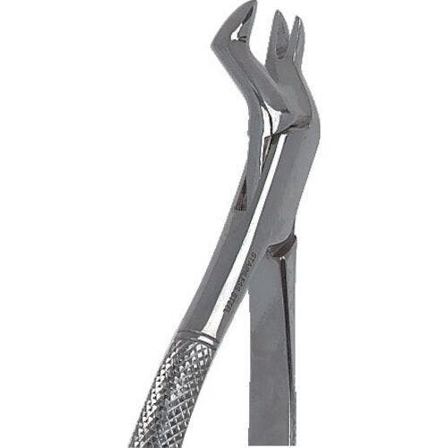 Stainless Steel Extraction Forceps, , #13 English