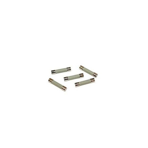Fuse, Time Delay, Glass, 1 Amp, 250 Volt; Pkg of 5