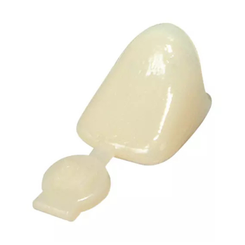 3M-Solventum, 3M Polycarbonate Crowns 53 Second Bicuspid Box of 5, 2248-50