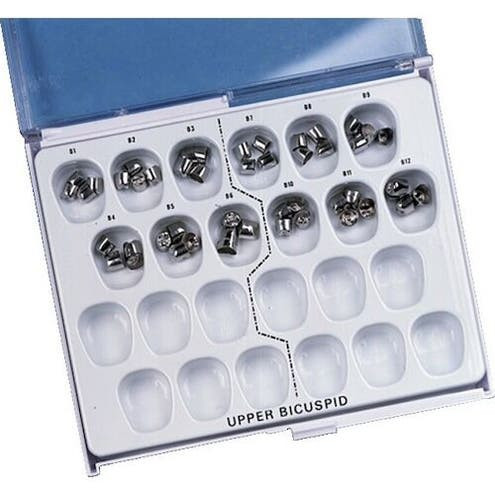 Bicuspid Stainless Steel Crowns, Upper Left, B3, 3/Pkg, SS-B03