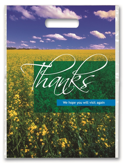 Plastic Bags Thanks 250/Box