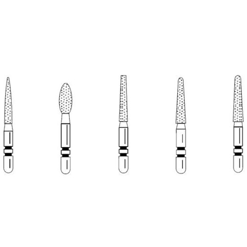 Premier, TS SHORT CUT ASSORTED 5-PK                                                                           , 2015502