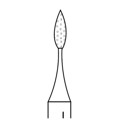 Premier, TWO STRIPER DIAM RA 291.4C                                                                           , 2013197