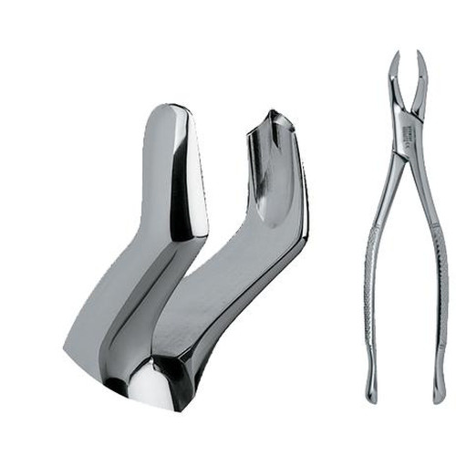 Premier, FORCEPS 53R                                                                                          , 9065016