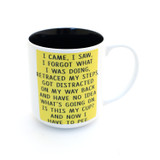 I Came I Saw mug, middle aged, birthday mug, funny adulting