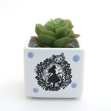 Alice in Wonderland mini planter, small succulent planter