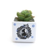 Alice in Wonderland mini planter, small succulent planter
