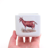 Goat Mini planter or candle holder, colored vintage decal
