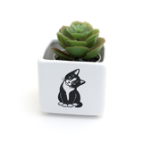 Cat Mini planter or candle holder, Cute Kitty, Gift for Cat lover