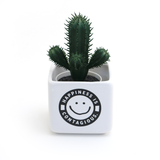Happiness is Contagious Mini planter or candle holder, Inspiration Gift, Pluribus Fan