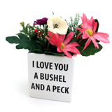 Bushel and a Peck Planter, Container, Indoor Planter