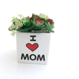 I Heart Mom, Mother's Day Gift,  indoor planter, container