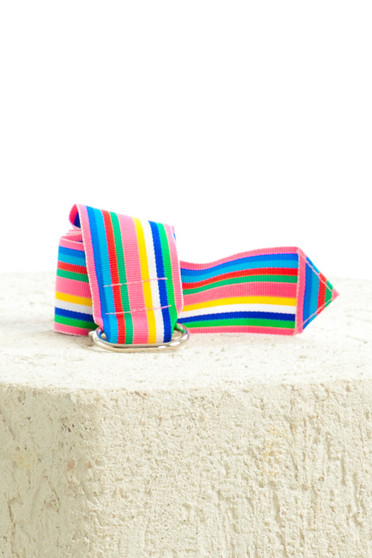 Vintage Y2K Rainbow Stripe Slide Belt
