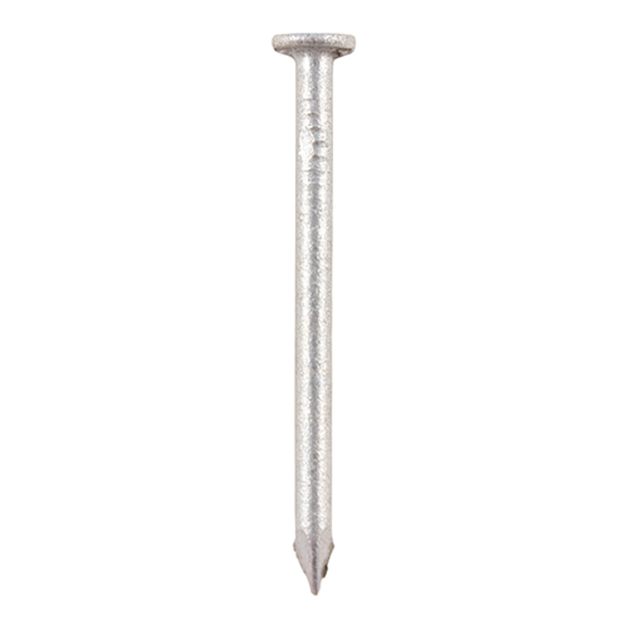 NZ Nails 125 x 5.3mm Galvanised Jolt Head Nail - Bunnings New Zealand