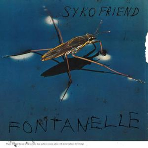 Syko Friend - Fontanelle (LP)