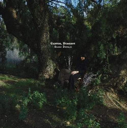 Sarah Davachi - Cantus, Descant (Vinyl)