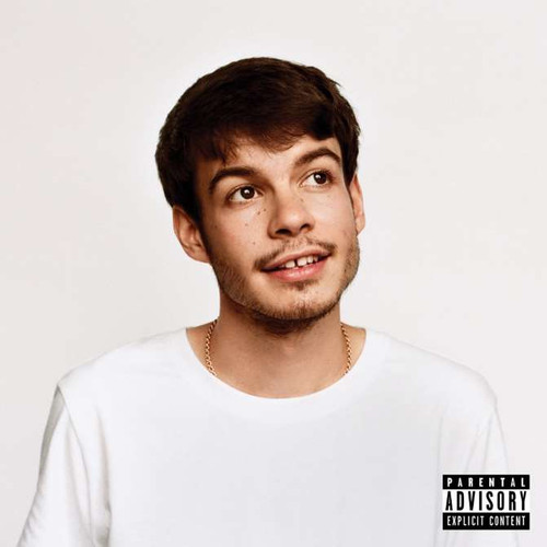 Rex Orange County - Pony (Black Lp) (LP)