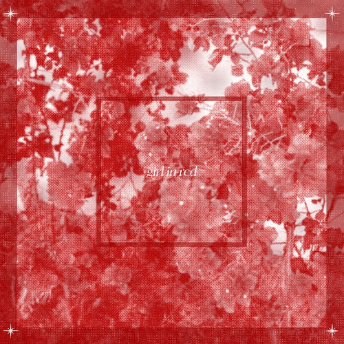 Girl In Red - Beginnings (Red Vinyl)