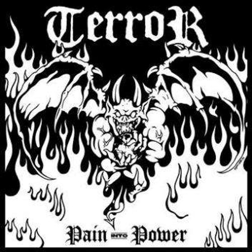 Terror - Pain Into Power (CD)