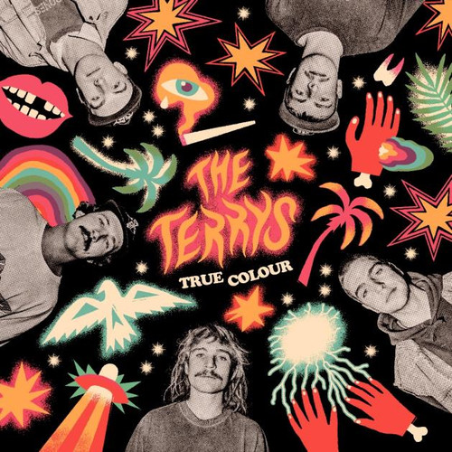 The Terrys - True Colour (CD)