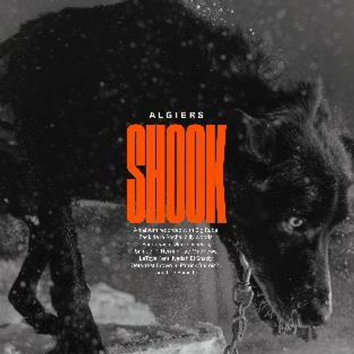 Algiers - Shook (2xLP Black Vinyl Vinyl)