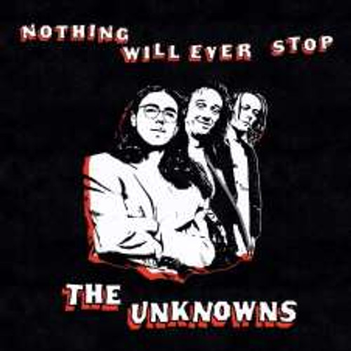 The Unknowns - Nothing Will Ever Stop - (Black Vinyl) (LP)