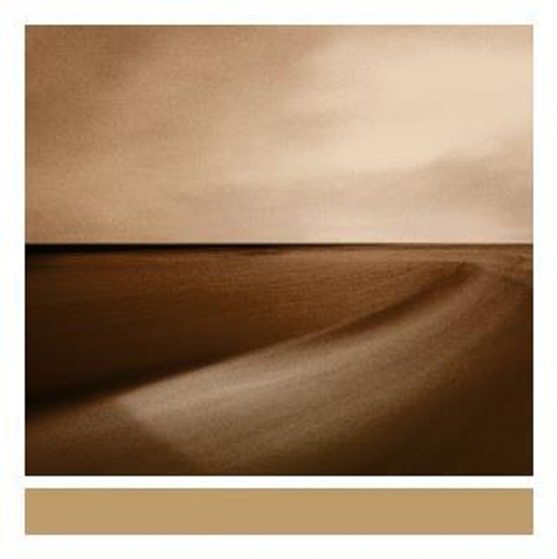 Brian Eno - Small Craft On A Milk Sea (Vinyl)
