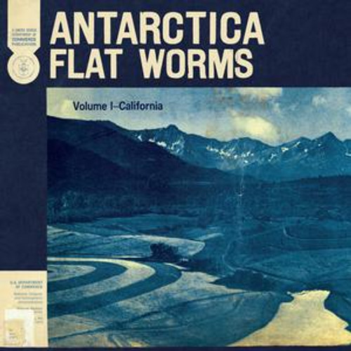 Flat Worms - Antarctica (CD)