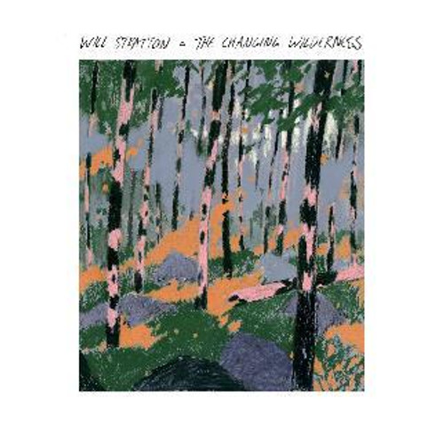 Will Stratton - The Changing Wilderness (CD)