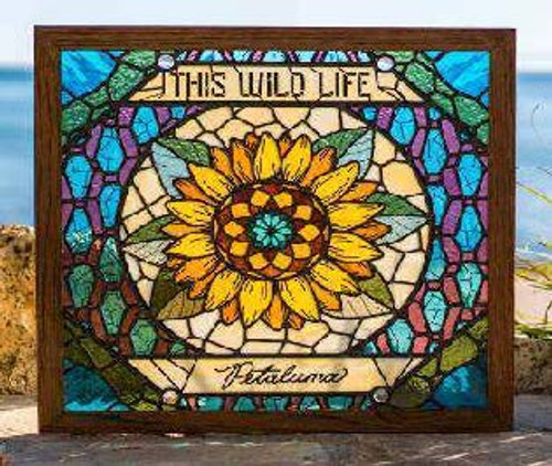 THIS WILD LIFE - PETALUMA (CD)