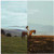 Fanny Lumsden - Fallow & Variations (2LP)