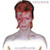 David Bowie - Aladdin Sane (Limited picture vinyl Vinyl)